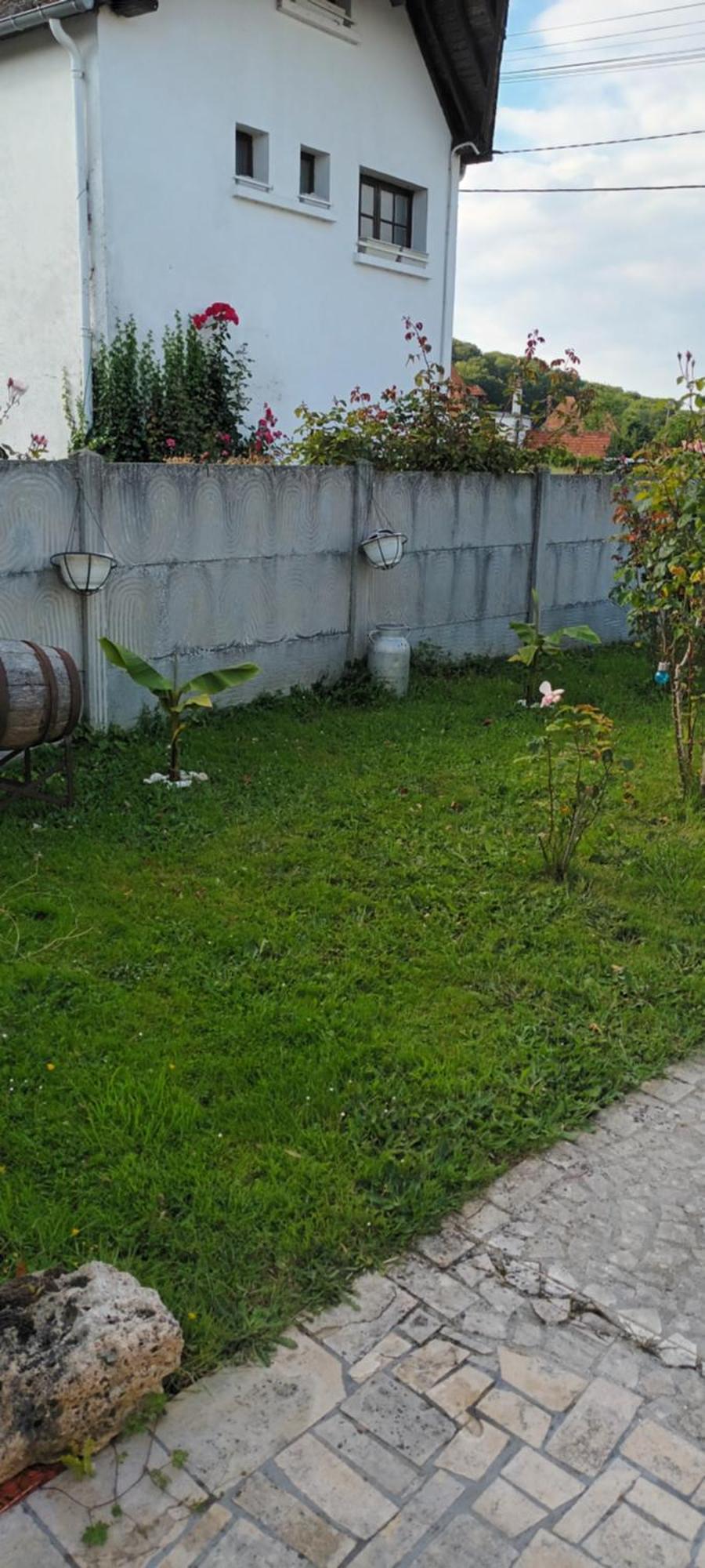 Fall Homestay *
